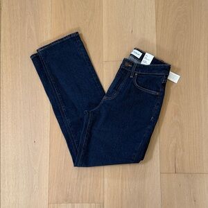 Aritzia Denim Forum Uma Curve Hi-Rise Straight Jeans